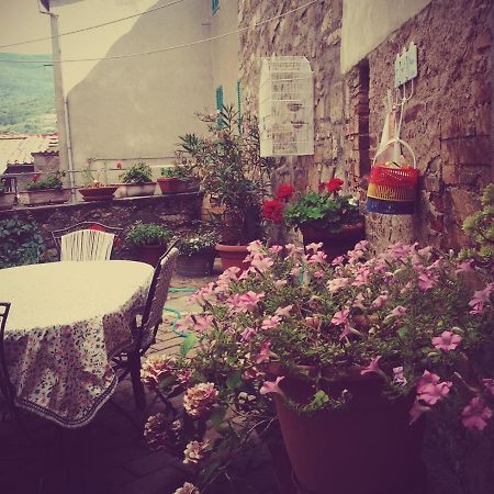 Apartamento Dimora Toscana Seggiano Exterior foto