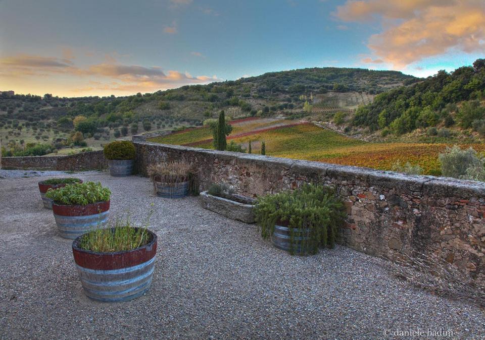 Apartamento Dimora Toscana Seggiano Exterior foto